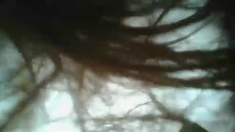 Snapshot of bigjames_chicago chatting on January 19, 3:42 pm daddy online show from January 19, 3:42 pm