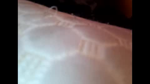 Snapshot of bigloggzz chatting on January 8, 7:55 am bigloggzz online show from January 8, 7:55 am