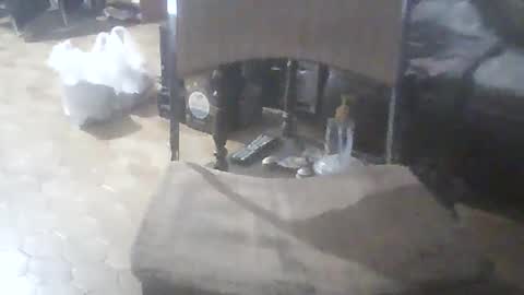 bigpenix online show from February 7, 11:52 pm