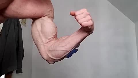 Snapshot of bigredmachine25 chatting on December 15, 8:47 pm Jarvis online show from December 15, 8:47 pm