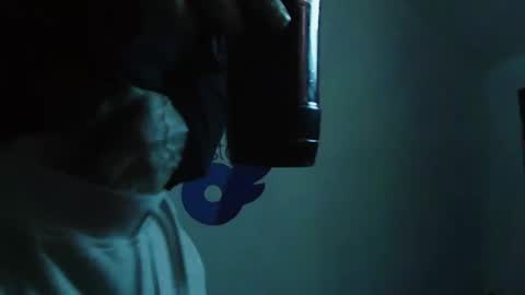 Snapshot of bigredmachine25 chatting on January 13, 1:45 am Jarvis online show from January 13, 1:45 am