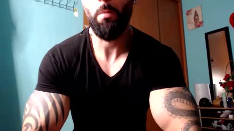 BigStallion online show from December 8, 11:51 pm