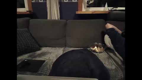 Snapshot of bigswe1 chatting on March 5, 1:52 am bigswe1 online show from March 5, 1:52 am