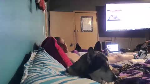Snapshot of bigtomcat45 chatting on December 24, 6:17 pm bigtomcat45 online show from December 24, 6:17 pm
