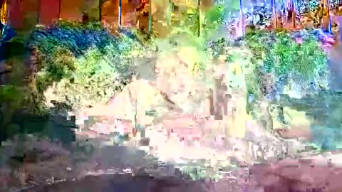 bigwytecock1979 online show from December 9, 1:24 pm