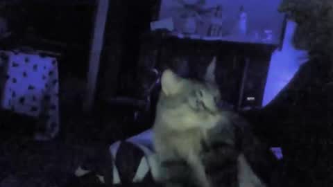 Snapshot of billenews chatting on February 26, 6:01 am billenews online show from February 26, 6:01 am