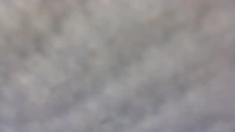 Snapshot of billmenow141 chatting on February 11, 10:04 am billmenow141 online show from February 11, 10:04 am