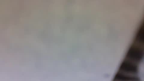 Snapshot of billmenow141 chatting on March 10, 10:59 am billmenow141 online show from March 10, 10:59 am