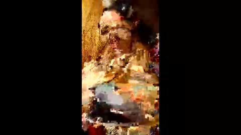 bina241986 online show from June 10, 5:01 pm