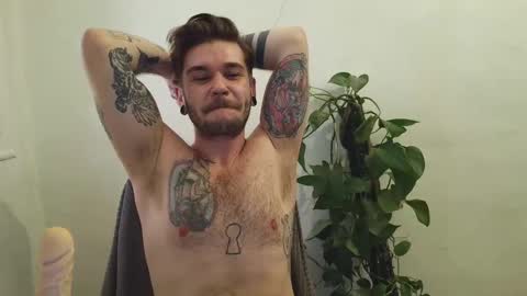 bird_0f_hermes online show from February 10, 4:00 pm