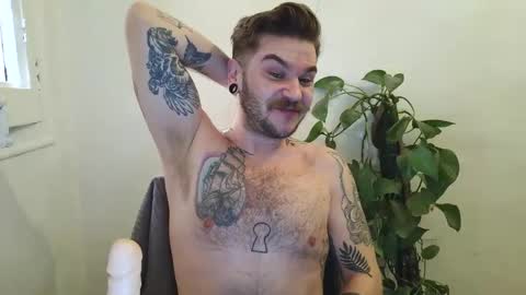 bird_0f_hermes online show from February 11, 12:32 pm