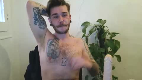 bird_0f_hermes online show from February 12, 3:07 pm