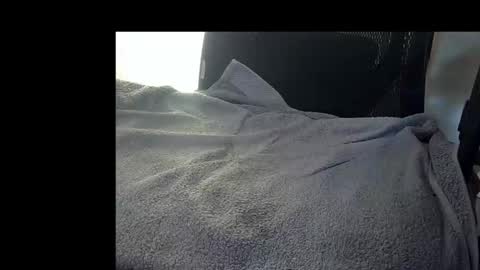 bislider online show from November 12, 9:10 am