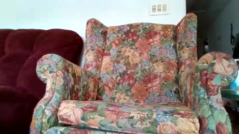 Brittany Bear online show from March 30, 5:58 pm
