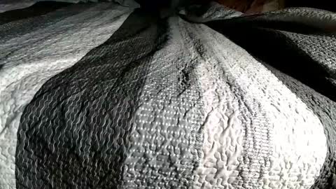 Snapshot of bjaybaby chatting on February 16, 5:47 am bjaybaby online show from February 16, 5:47 am