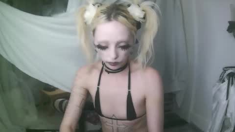 vampire fang  online show from January 7, 12:35 am