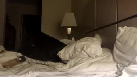 black_mamba2969 online show from November 23, 1:44 pm