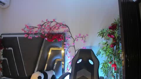 B L A C K  R O S E  online show from November 9, 11:19 am