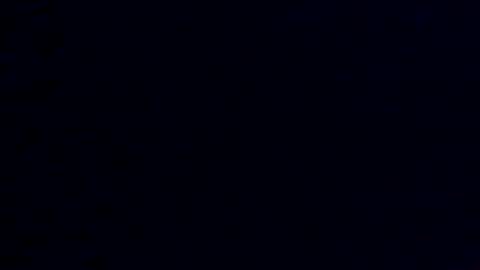 Crystal online show from January 20, 1:32 pm