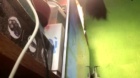 Snapshot of blackasiancockts chatting on November 13, 2:49 pm Crystal online show from November 13, 2:49 pm