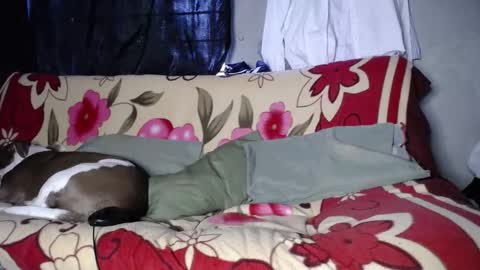 Snapshot of blackpanter_13 chatting on September 27, 11:48 am Black Panther online show from September 27, 11:48 am