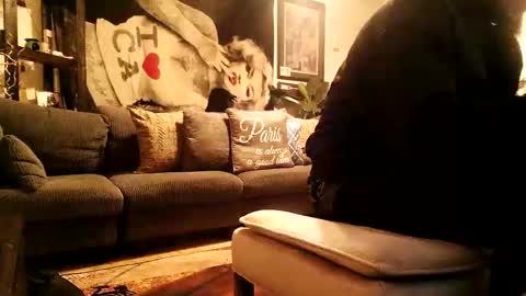 blackriches96 online show from February 17, 3:58 am