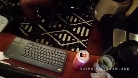 Snapshot of blakjag chatting on February 14, 5:41 am Blackjag00 online show from February 14, 5:41 am