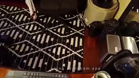 Snapshot of blakjag chatting on February 19, 7:06 am Blackjag00 online show from February 19, 7:06 am