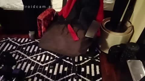 Snapshot of blakjag chatting on February 23, 10:06 am Blackjag00 online show from February 23, 10:06 am