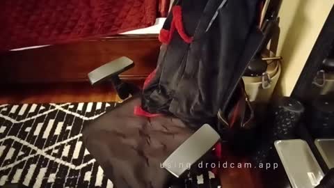 Snapshot of blakjag chatting on March 3, 9:22 am Blackjag00 online show from March 3, 9:22 am