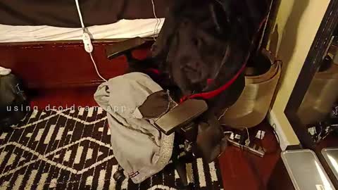 Snapshot of blakjag chatting on March 5, 9:26 pm Blackjag00 online show from March 5, 9:26 pm