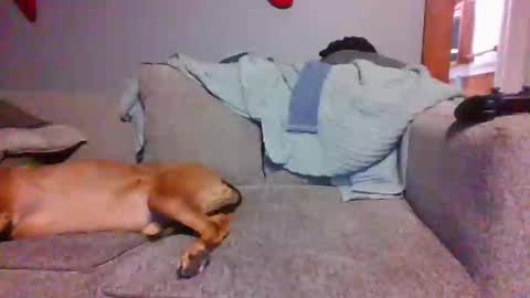 blaw_1321 online show from December 28, 10:55 pm