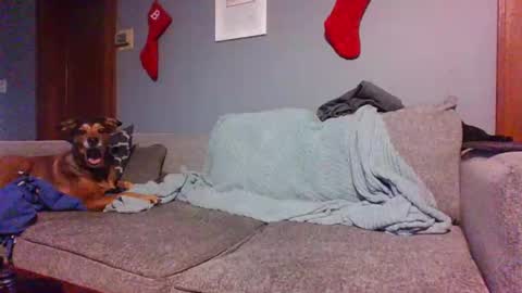 blaw_1321 online show from December 30, 8:36 pm