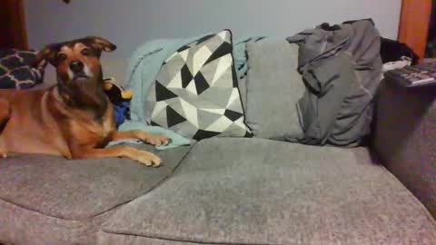 blaw_1321 online show from January 4, 5:37 am