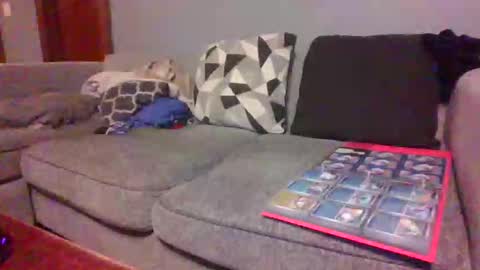 blaw_1321 online show from February 27, 9:31 am