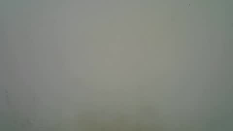 Black  brown online show from November 7, 5:18 am