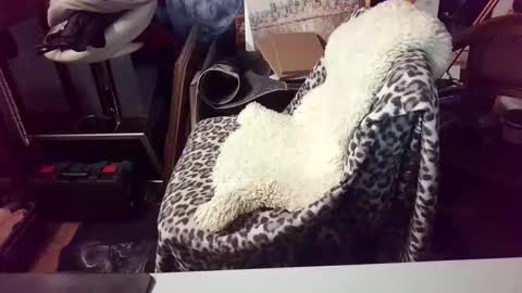 blindsurfer780299 online show from March 15, 5:13 am