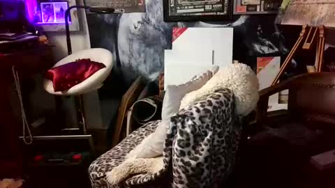 blindsurfer780299 online show from March 30, 5:08 am