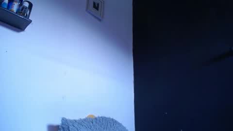 Snapshot of blue_morningstar chatting on September 22, 12:40 pm bunbury online show from September 22, 12:40 pm