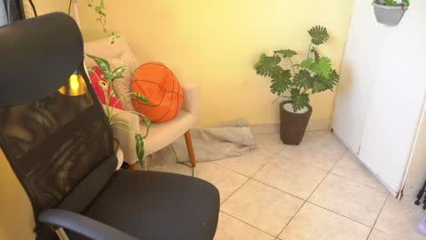 FLORAA online show from January 23, 2:50 pm