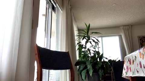 Blueyedudeseattle online show from September 21, 6:42 pm