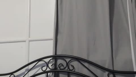 bob online show from December 15, 10:28 am