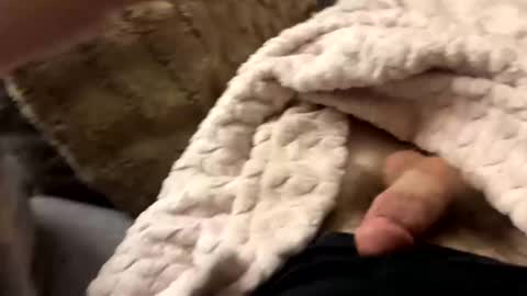 Snapshot of bobdillon401 chatting on January 10, 6:20 am bobdillon401 online show from January 10, 6:20 am