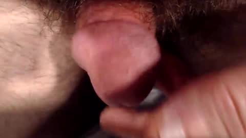 bobswan online show from December 5, 5:09 pm