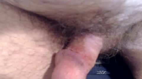 bobswan online show from March 8, 1:59 pm