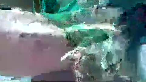 Snapshot of bogey58 chatting on February 12, 4:11 pm bogey58 online show from February 12, 4:11 pm