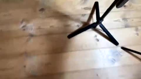 Nail and Olivia online show from December 4, 10:57 am