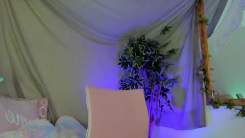   online show from November 22, 12:09 am