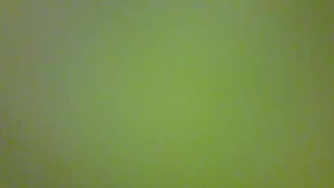 Snapshot of bonniediamond chatting on October 30, 6:52 pm bonniediamond online show from October 30, 6:52 pm