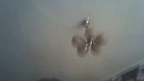 bony_may4 online show from January 12, 11:28 am